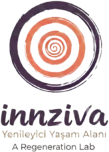 cropped cropped innziva logo 1 215x300 removebg preview